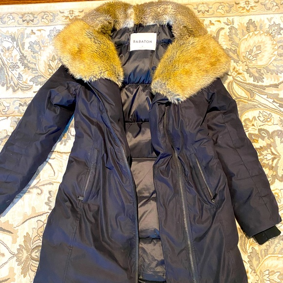 Aritzia Babaton Gillian Parka size S - Picture 1 of 4